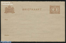 Netherlands 1917 Postcard 2c Brown, Greyish Paper, Perforated Short Dividing Line, Unused Postal Stationary - Storia Postale