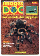 IMAGES DOC N° 90  Animaux Araignée Mygales , Science Une Cosmonaute Francaise Espace , Histoire Du Tennis - Tiere