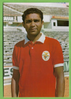 Lisboa - Rui Rodrigues - Sport Lisboa E Benfica - Futebol - Estádio - Football - Stadium - Portugal - Voetbal