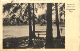 Buntenbock - Nassenwieser Teich - Clausthal - Clausthal-Zellerfeld