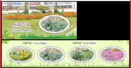 Korea North 2024 Ground Cover Plant (Fei Cai Long Handled Jade Hairpin Mai Dong Tian Lan Xiu Qiu),booklet MNH - Corea Del Nord