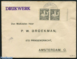 Netherlands 1929 A Pair Of Nvph. R82, Syncopated Perforations. Cover To Amsterdam, Postal History - Lettres & Documents