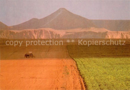 73622487 Israel Making The Desert Bloom Israel - Israel