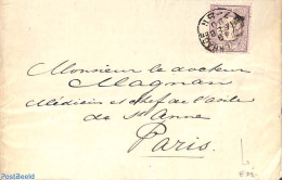 Netherlands 1890 Folding Cover From The Hague To Paris. Drukwerkzegel Cijfer 2.5 C, Postal History - Brieven En Documenten