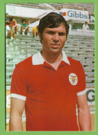 Lisboa - Jaime Graça - Sport Lisboa E Benfica - Futebol - Estádio - Football - Stadium - Portugal - Voetbal