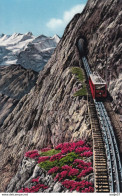 Pilatusbahn,The Pilatus Railway,Nidwalden And Obwalden, Switzerland - Trains