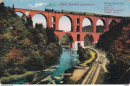 Vogtl Schweiz Elstertalbrucke Eisenbahn Auf Der Elstertalbrücke - Ponti
