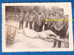 Photo Ancienne - BOGHNI Algérie - Portrait De Garçon Avec Veste En Cuir - 1962 - Sapeurs Pompiers ? Méchoui Viande - Africa