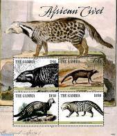 Gambia 2019 African Civet 4v M/s, Mint NH, Nature - Animals (others & Mixed) - Gambia (...-1964)