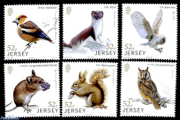 Jersey 2019 Wildlife 6v, Links With China, Mint NH, Nature - Animals (others & Mixed) - Birds - Owls - Wild Mammals - Jersey