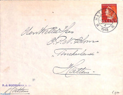 Netherlands 1948 Envelope With NVPH. No. 333, Postal History - Storia Postale