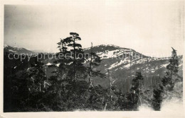 73304159 Wrangell_Alaska Panorama - Other & Unclassified