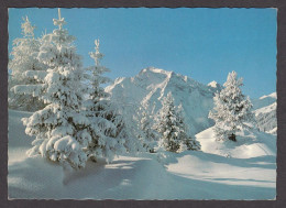 107745/ ZILLERTAL, Blick Zum Grünberg - Zillertal