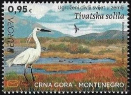 MONTENEGRO 2021 Europa CEPT. Endangered National Wildlife - Fine Stamp MNH - Montenegro