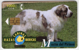 Espagne 1000 PTA RAZAS CANINAS IBERICAS Mastin Del Pirineo 10/99 500.000 Exemplaires Vide Chien - Basisuitgaven