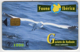 Espagne 1000 PTA Fauna Iberica Gaviota De Audouin 08/98 2.000.000 Exemplaires Vide Oiseau - Basisuitgaven