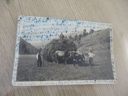 Carte Photo Espagne Spana Vall E Ribes La Carreta Agriculture Fenaison Attelage - Autres & Non Classés