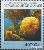 Guinea 10536 (kompl. Ausgabe) Postfrisch 2014 Korallen - Guinee (1958-...)