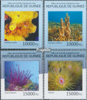 Guinea 10532-10535 (kompl. Ausgabe) Postfrisch 2014 Korallen - Guinea (1958-...)