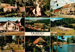 73935390 Triberg Kirche Heimatmuseum Park Wasserfall Panorama Schwarzwaldhaus Ra - Triberg