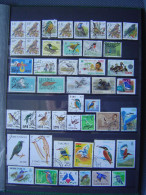 Postzegels 75 X Met Vogels - Sonstige & Ohne Zuordnung