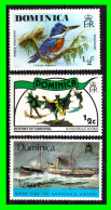 DOMINICA  ( AMERICA )  SELLOS DE DIFERENTES AÑOS Y VALORES - Dominique (1978-...)