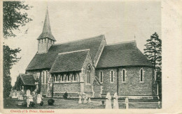 SURREY - HASCOMBE - CHURCH OF ST PETER 1904 Sur641 - Surrey