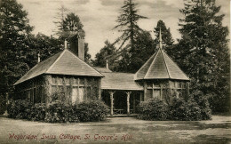 SURREY - WEYBRIDGE - ST GEORGE'S HILL - SWISS COTTAGE  Sur642 - Surrey