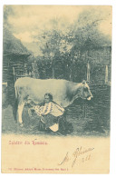 RO 09 - 16212 ETHNIC Woman, Country Life, Litho, Romania - Old Postcard - Used - 1900 - Roemenië