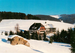 73935140 Todtnauberg Jugendherberge Fleinerhaus Panorama - Todtnau