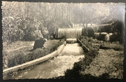 CPSM BENI MELLAL (Maroc) Les Cascades - Sonstige & Ohne Zuordnung