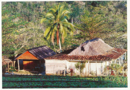 *CPM - CUBA - Maison De Producteur De Tabac - Kuba