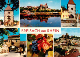 73934802 Breisach_Rhein Radbrunnen St Stephansmuenster Hagenbachturm Kapftor Mar - Breisach