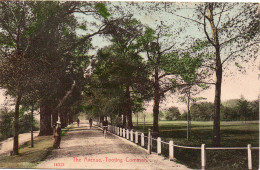 PPC: The Avenue, Tooting Common - Londres – Suburbios