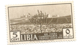 (COLONIE E POSSEDIMENTI) 1939, LIBIA, XIII FIERA DI TRIPOLI, 5c - 1 Francobollo (CAT. SASSONE N.158) - Libya