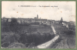 CPA - GIRONDE - PELLEGRUE - VUE D'ENSEMBLE COTÉ NORD - Sonstige & Ohne Zuordnung