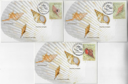 Brazil 2007 Complete Series 3 Maximum Card Fauna Animal Invertebrate Shell Mollusk Marine Life - Conchas