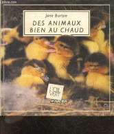 Des Animaux Bien Au Chaud - Collection L'oeil Vert - Jane Burton - 1989 - Animales