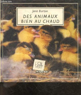 Des Animaux Bien Au Chaud - Collection L'oeil Vert - Jane Burton - 1989 - Animali