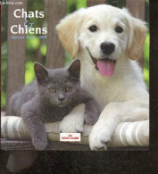 Chats & Chiens - Agenda 2008 / 2009 - LANGELLIER ELISE- ROLLAND GUY- COLLECTIF - 2008 - Agende Non Usate
