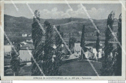 Bl372 Cartolina Vitriola Di Montefiorino Panorama Provincia Di Modena - Modena