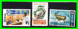 KENIA (  AFRIKA )  SELLOS DIFERENTES AÑOS Y VALORES - Kenia (1963-...)