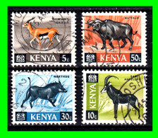 KENIA (  AFRIKA )  SELLOS DIFERENTES AÑOS Y VALORES - Kenya (1963-...)