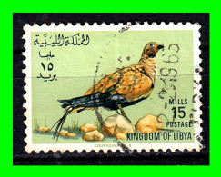 LIBIA ( AFRIKA )  SELLO AÑO 1965 TEMATICA PAJAROS - Libyen