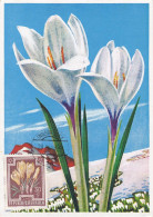 Carte Maximum Autriche Osterreich 1948 Fleur Flower Crocus - Maximumkarten (MC)