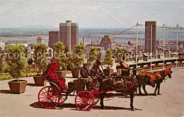 73130787 Montreal Quebec Old French Horsedrawn Carriages On Mount Royal Montreal - Non Classés