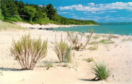 73130698 Harbor_Springs Lake Michigan Shoreline On Little Traverse Bay - Andere & Zonder Classificatie