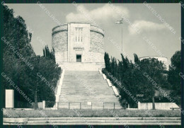 Gorizia Città Ossario FG Foto Cartolina HB4848 - Gorizia