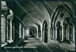 Frosinone Veroli Casamari Abbazia Di FG Foto Cartolina HB4867 - Frosinone