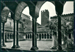 Verona Città Basilica San Zeno COLLA FG Foto Cartolina HB4930 - Verona